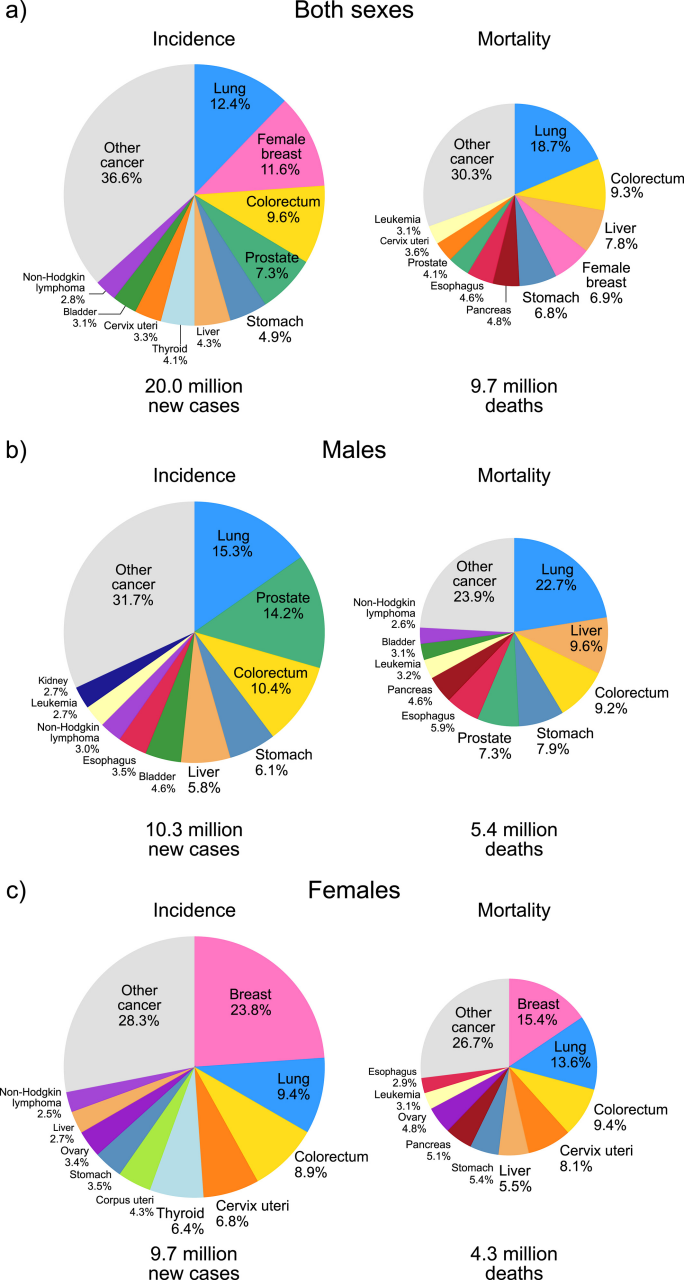 2022 年 (A) 男女、(B) 男性和 (C) 女性的前五位癌症的病例和死亡分布